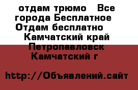 отдам трюмо - Все города Бесплатное » Отдам бесплатно   . Камчатский край,Петропавловск-Камчатский г.